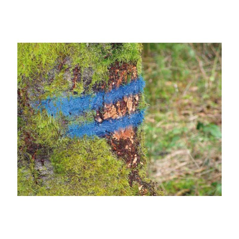 STRONG MARKER - Ilgalaikiai miško žymėjimo dažai (4-6 metai).