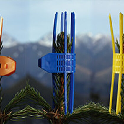 Mechaninė  viršutinių ūglių ir pumpurų apsauga