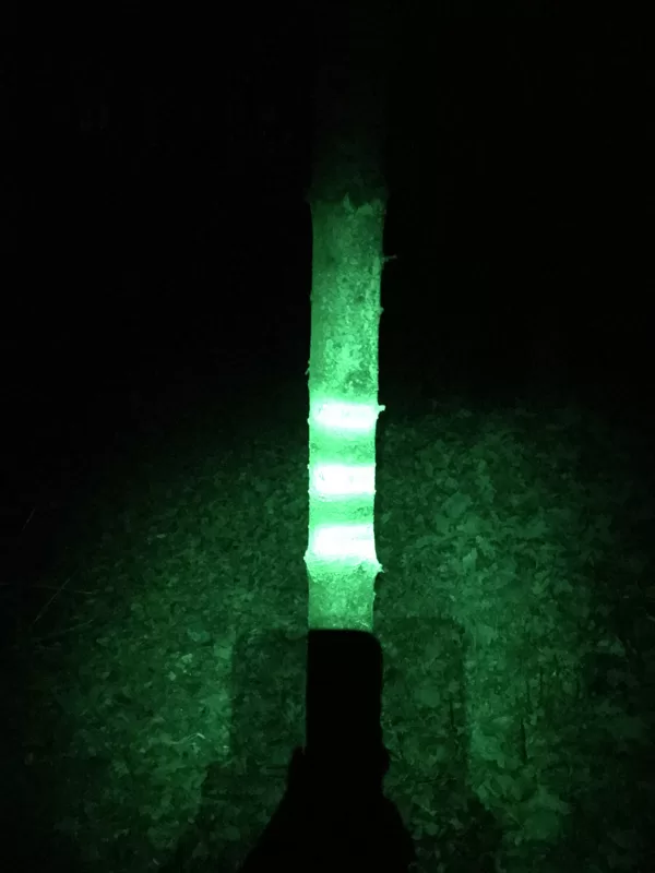 Soppec Forest